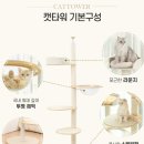 오로라 캣 이미지