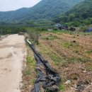 선리농장 이미지