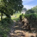 별립산농장 이미지