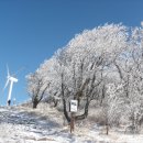 삼중목장 이미지