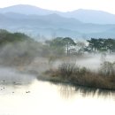 강변의 수채화 이미지