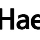 해(hae) 이미지