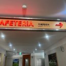 강원도 횡성과 평창 여행을 위한 가성비 리조트 웰리힐리파크