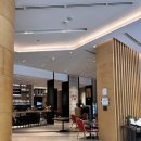 사보이호텔 | [세부] 내돈내산 세부 0.5박 추천 가성비 호텔 사보이 호텔 후기