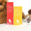 샴푸하는 강아지 이미지