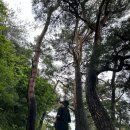 화진포 관광안내소 | 강원 고성 응봉 트레킹코스 가볼만한곳 화진포해수욕장 호수 김일성별장 입장료 주차 청간정관람