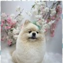 뷰티몽 - 순천시 왕지2길 19-5 | 뷰티몽