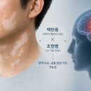 31140-6-74-12 코메디닷컴