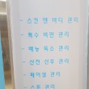 밍테라피