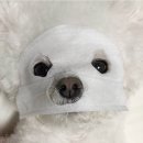 올가뷰티송천