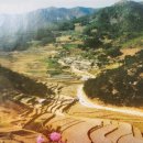 금정산SK VIEW아파트 경로당 네이버블로그