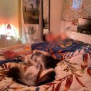 소소한향기 | [대전 근교 여행] 겨울의 낭만이 가득한 대전 '캠프향기' &amp; 소소한 겨울 일상 기록