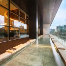 더 필드 이미지