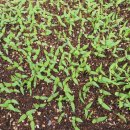 소향농장 이미지