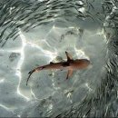 Beyond the 이미지