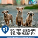 연제종합동물병원 이미지