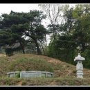 신한장 이미지