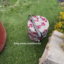 마녀객잔 이천점 | 김장하기 기록 _ 2일차