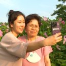 울엄마반찬 이미지