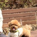 화창정밀 이미지