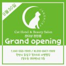 잔다냥 천안점 이미지