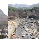 백아산 토종 이미지