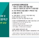 (주)내일투어 네이버블로그
