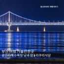 부산광역시 수영구 광안해변로 229   (광안동) 광안리해수욕장 만남의광장 앞 | 부산 여행 가볼만한곳 광안리해수욕장 낮과 밤 &amp; 리쿠리식당