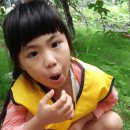 다산포도농원