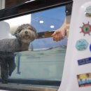 순풍동물병원 이미지