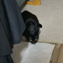 아시아드대로 93 이미지