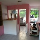 핑코애견 이미지