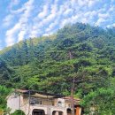 편의점(솔마루) 이미지