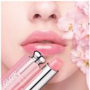 주식회사디올 이미지