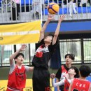 올댓바스켓 이미지