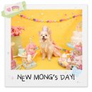 몽스데이 이미지