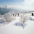 1월9일(일요당일))덕유산 겨울 눈꽃 산행 이미지