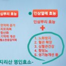 인삼명가 이미지