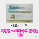 비파공구 | 비판텐 연고 vs 버치 아토 판테놀 리페어 크림 비교, 장점과 단점, 아토피아기 사용 후기