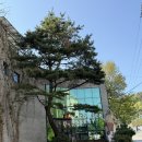 남양주대형카페 마석역카페 디저트가 예쁘고 분위기 좋은 에이 플로르