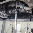 정카센타 이미지