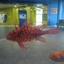 영덕어촌민속전시관 이미지