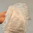 춤추는 고래 | 날개형 팬티라이너 추천 춤추는고래 실사용 후기🐳