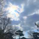 매화 | 양산 원동 카페 _ 아덴 (전망대매화농원) 내돈내산 후기 베이커리 맛집!