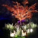 광명동굴 내 이미지