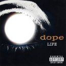 DOPE 이미지