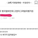 내친구고양이 이미지