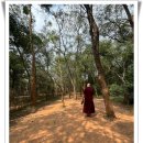 조이재 | 오분명상,혼자가 좋아요.믿고 싶은~.지금 원 안에~.포토,사람들은 왜 귀신을~.영양제 ‘이렇게’ ~.밥을...