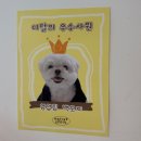 네이티브 서울