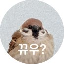 트리니티안경원
